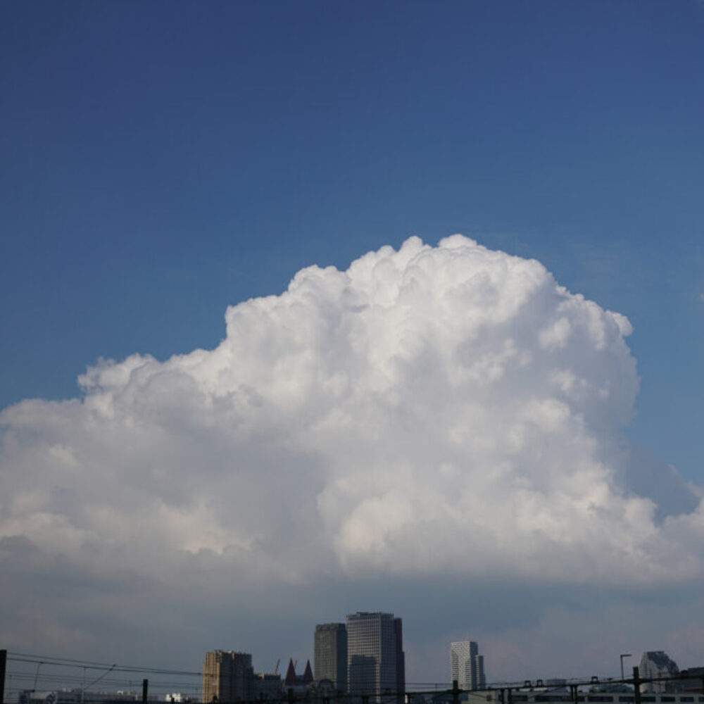 windowpane_0004_DSC01396