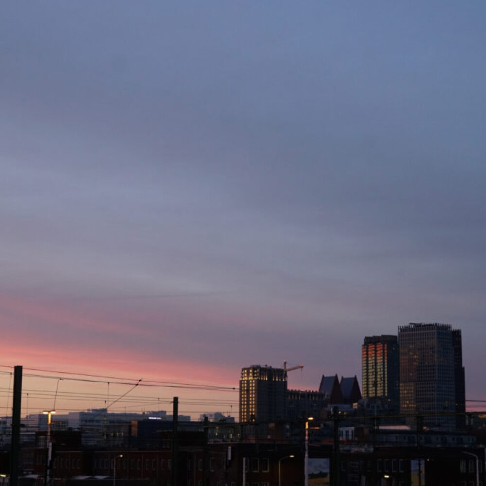 windowpane_0006_DSC06692