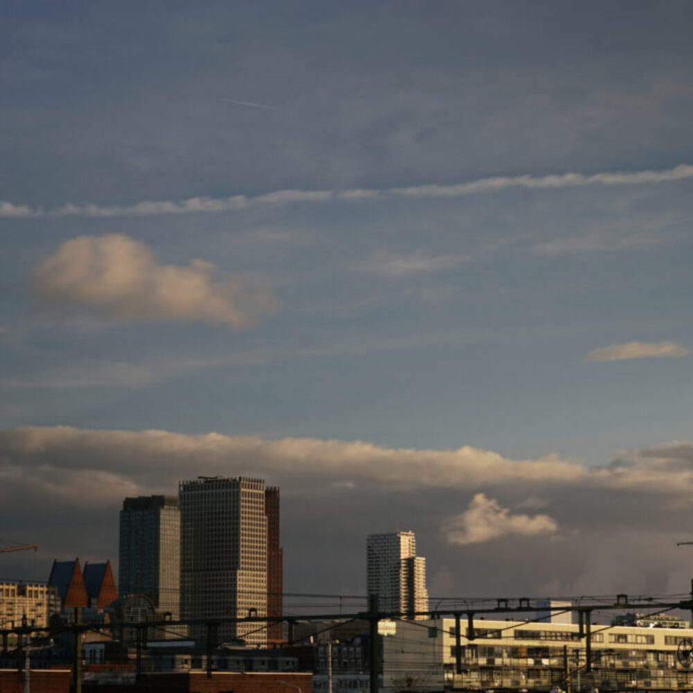 windowpane_0007_DSC05727